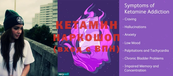ПСИЛОЦИБИНОВЫЕ ГРИБЫ Дмитриев