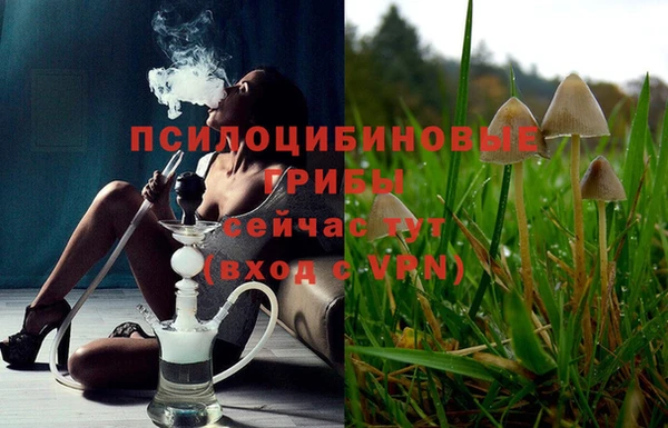 МДМА Дмитров