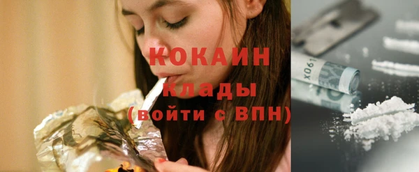 ПСИЛОЦИБИНОВЫЕ ГРИБЫ Дмитриев