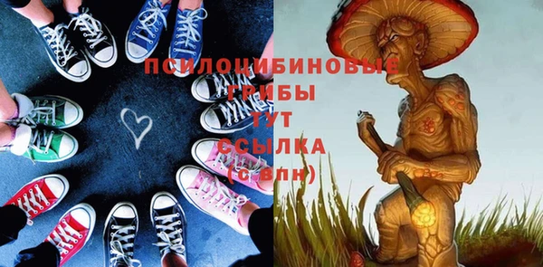 ПСИЛОЦИБИНОВЫЕ ГРИБЫ Дмитриев