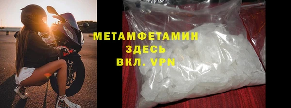 ПСИЛОЦИБИНОВЫЕ ГРИБЫ Дмитриев