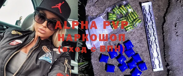 ПСИЛОЦИБИНОВЫЕ ГРИБЫ Дмитриев