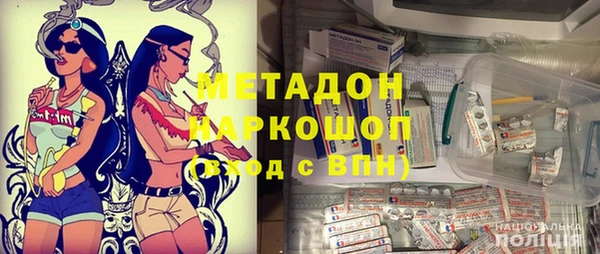 ПСИЛОЦИБИНОВЫЕ ГРИБЫ Дмитриев
