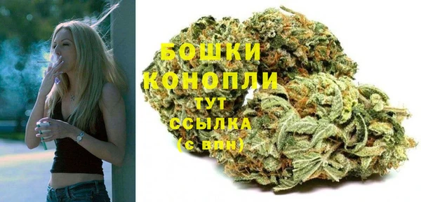 ПСИЛОЦИБИНОВЫЕ ГРИБЫ Дмитриев