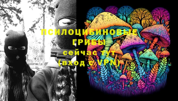 2c-b Дмитровск