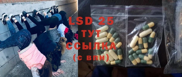 ПСИЛОЦИБИНОВЫЕ ГРИБЫ Дмитриев