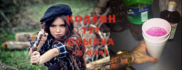 ПСИЛОЦИБИНОВЫЕ ГРИБЫ Дмитриев