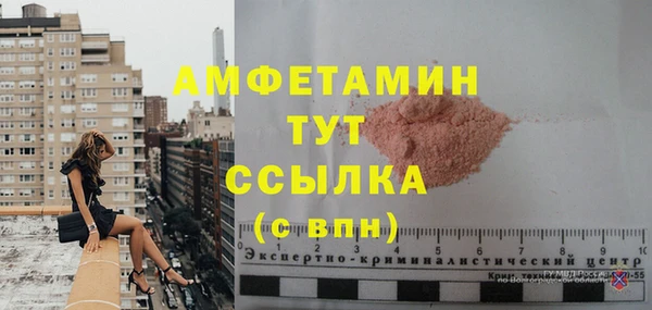 ПСИЛОЦИБИНОВЫЕ ГРИБЫ Дмитриев